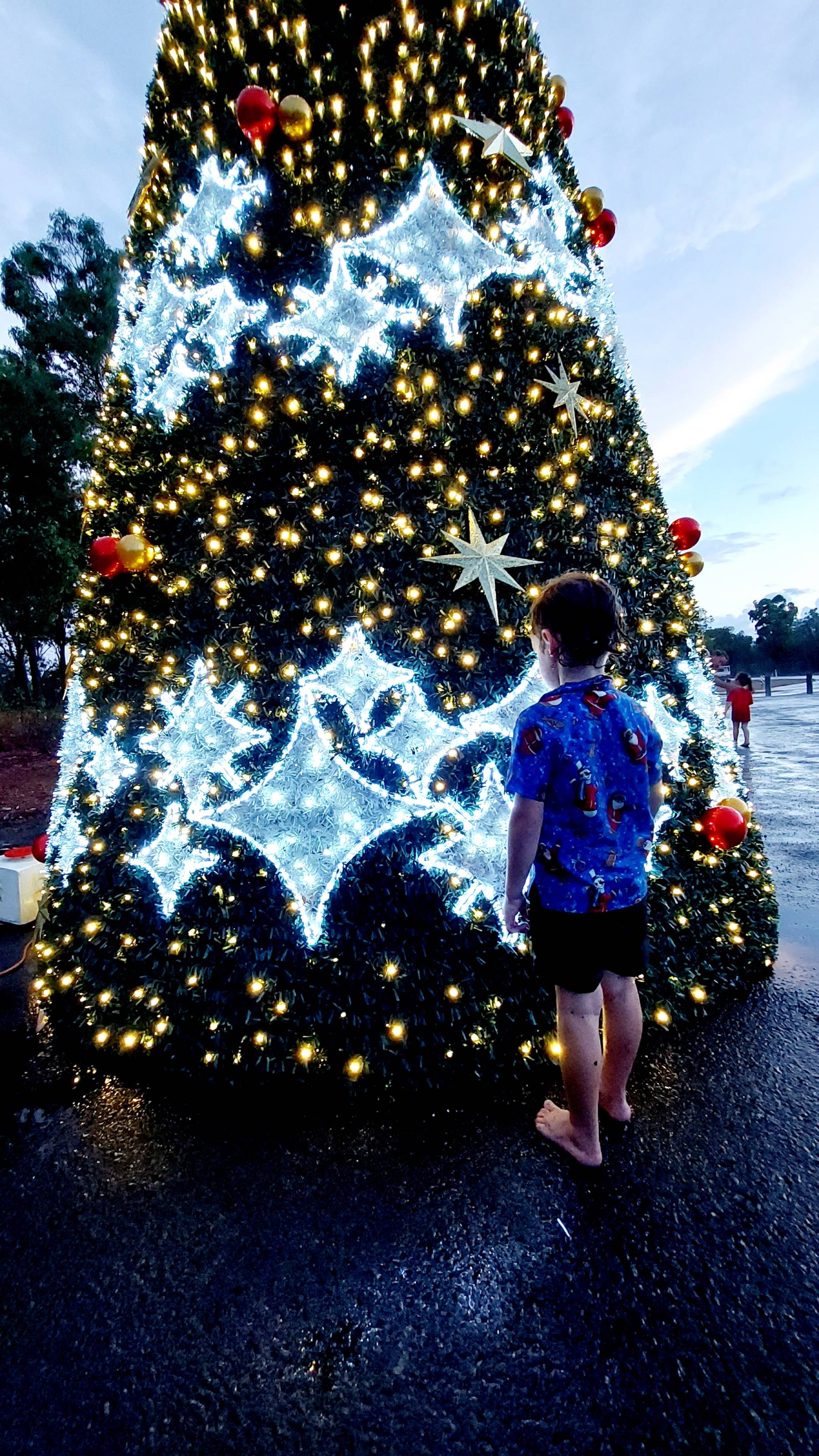 Child standing in front of lit christmas tree