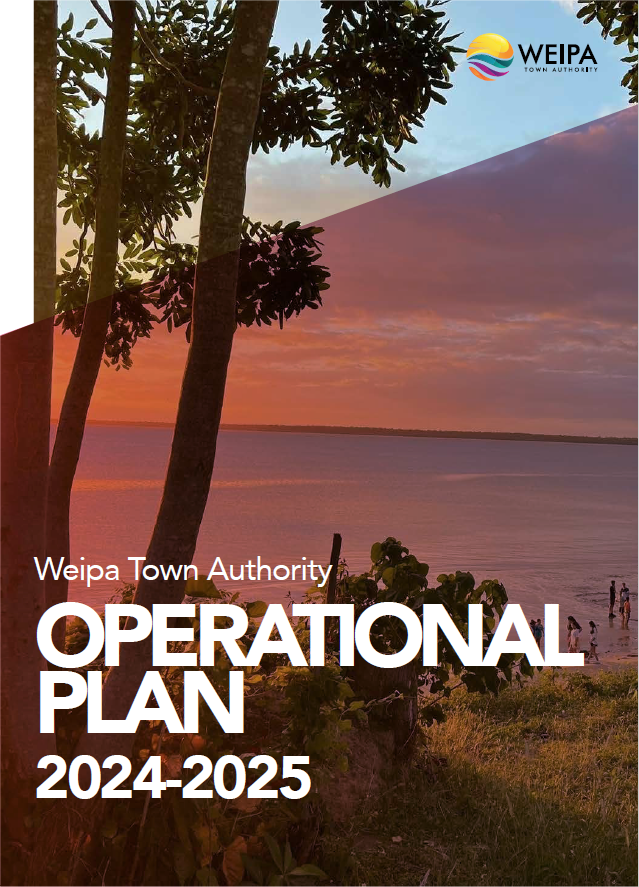 Operational plan cover 2024 25 1